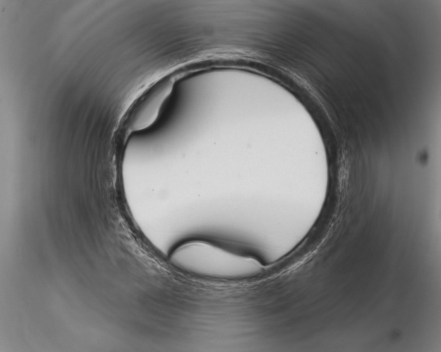 X0000116040973200912111435