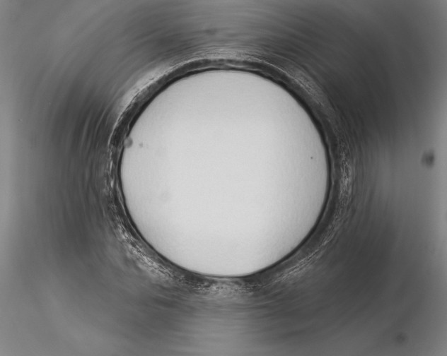 X0000116040974200912111435