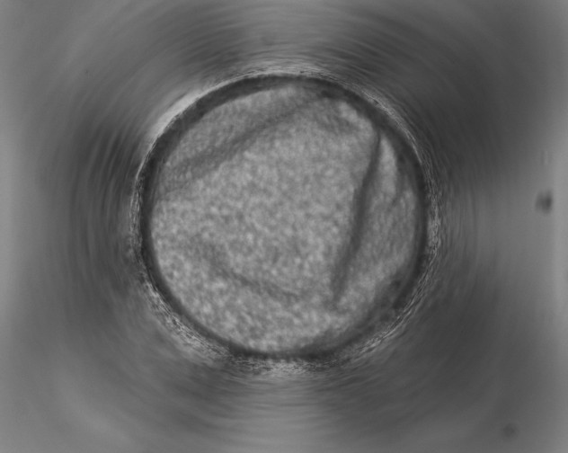 X0000116040975200912111435