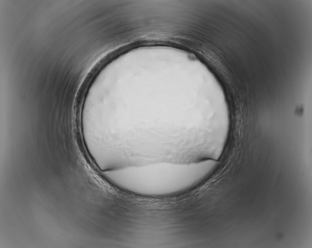 X0000116040976200912111435