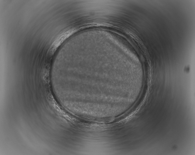 X0000116040977200912111435