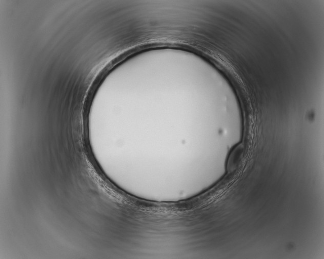 X0000116040980200912111435