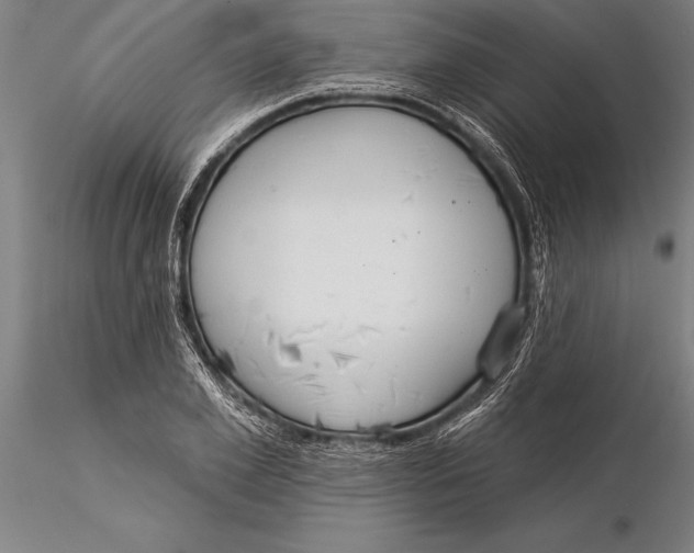 X0000116040981200912111435