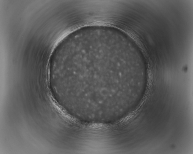 X0000116040982200912111435