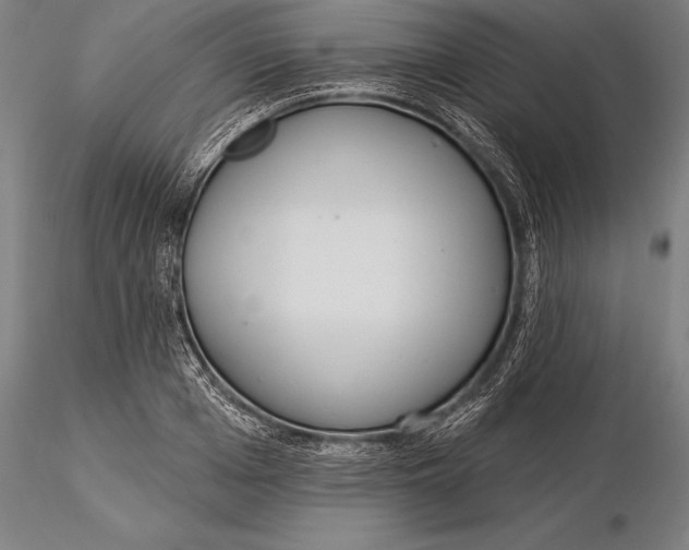 X0000116040985200912111435