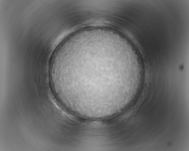 X0000116040986200912111435