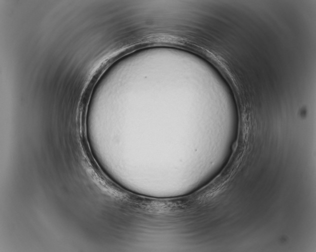 X0000116040987200912111435