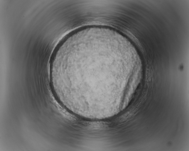 X0000116040988200912111435