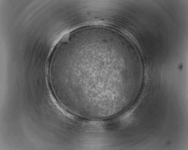 X0000116040989200912111435