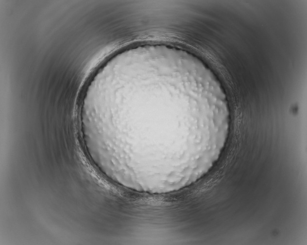 X0000116040990200912111435