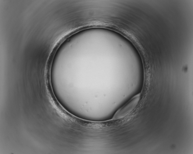 X0000116040991200912111435