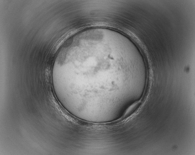 X0000116040993200912111435