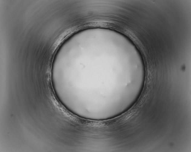 X0000116040994200912111435