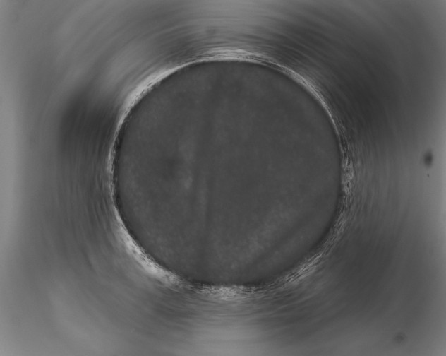 X0000116040995200912111435