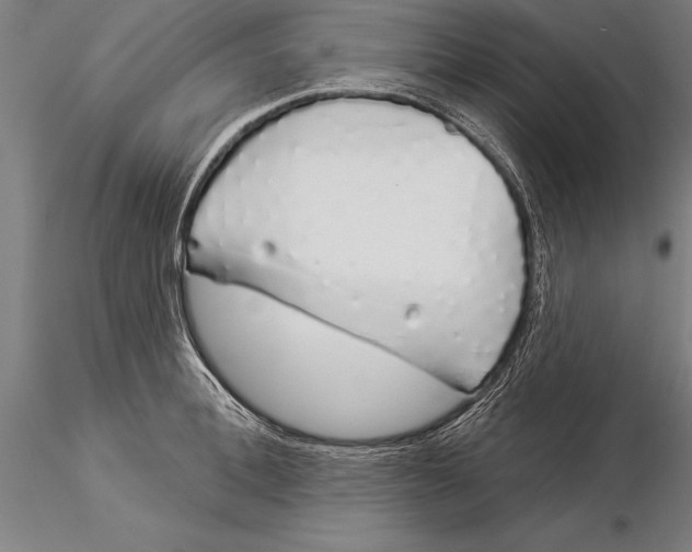 X0000116040996200912111435