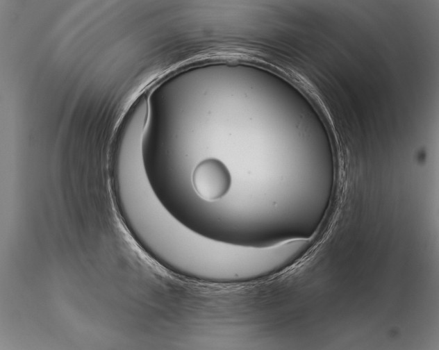 X0000116040997200912111435