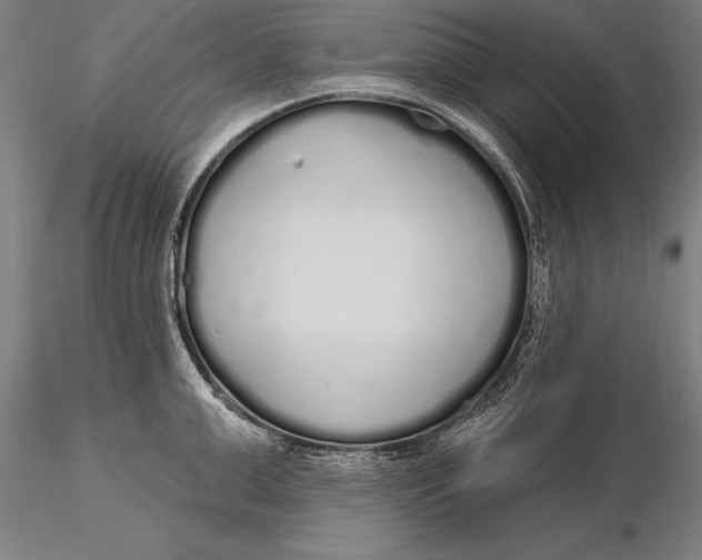 X0000116040999200912111435