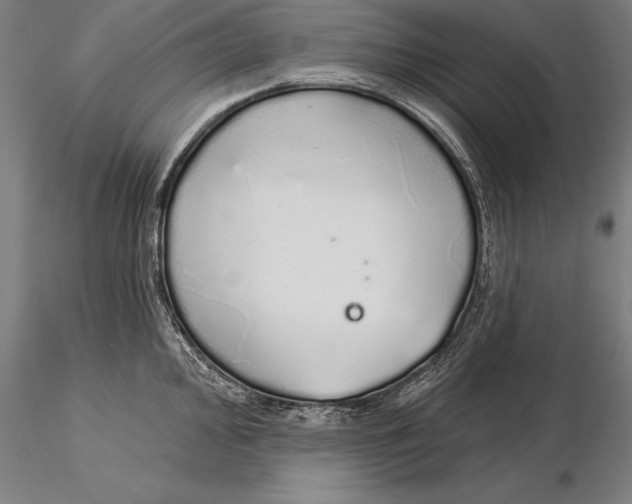 X0000116041000200912111435