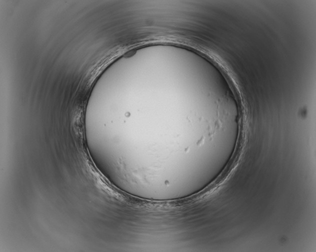 X0000116041001200912111435