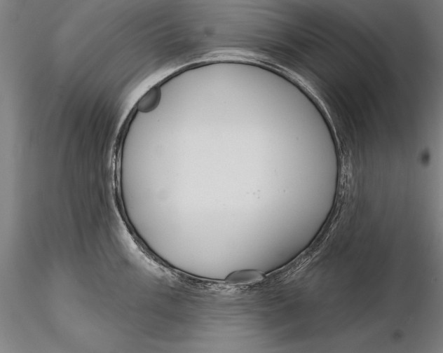 X0000116041003200912111435