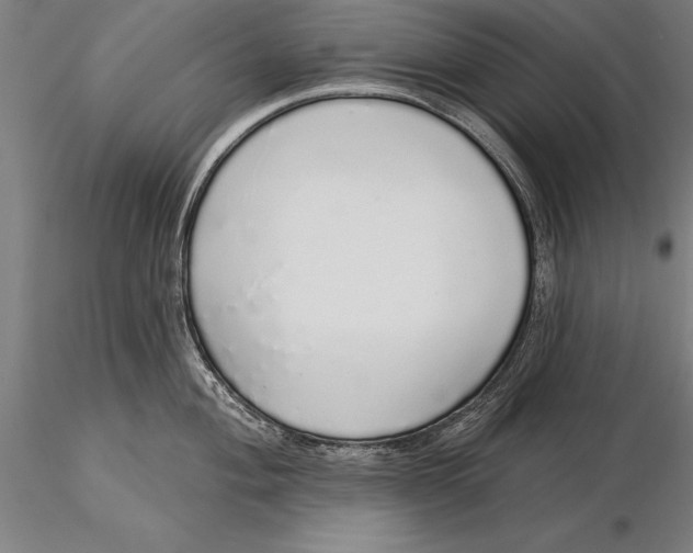 X0000116041004200912111435