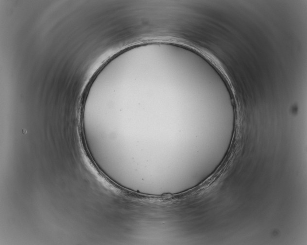 X0000116041005200912111435