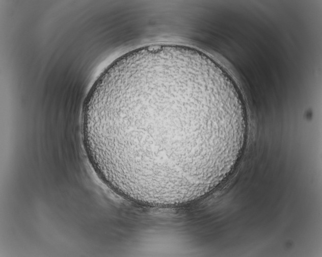 X0000116041006200912111435