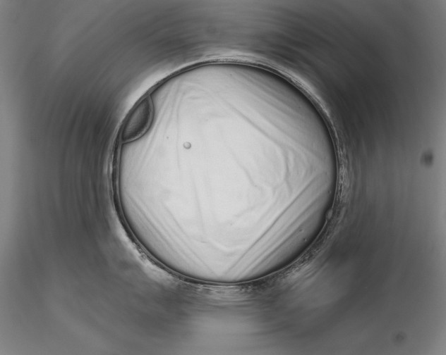 X0000116041007200912111435