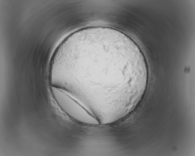 X0000116041008200912111435