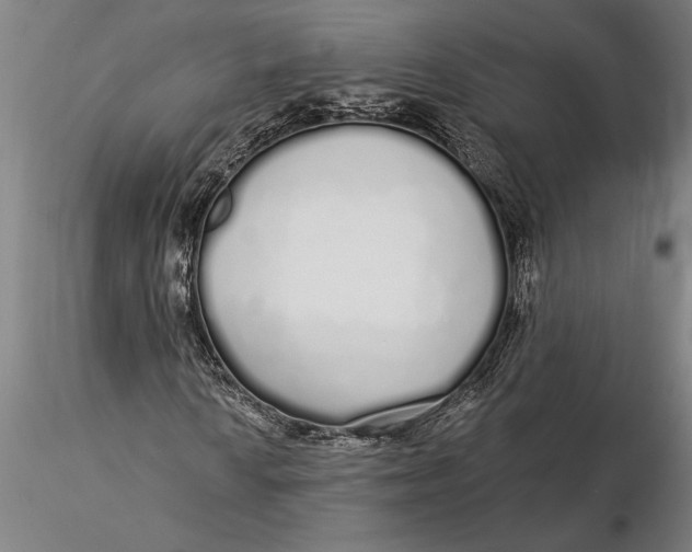 X0000116041010200912111434