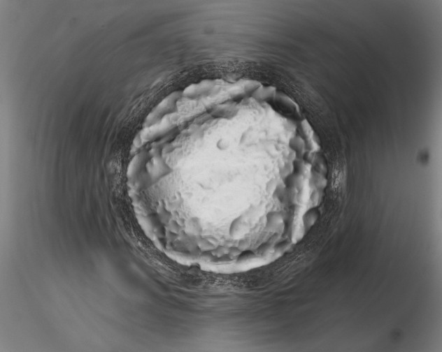 X0000116041011200912111434