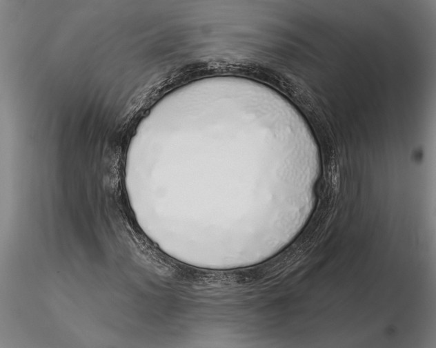 X0000116041012200912111434