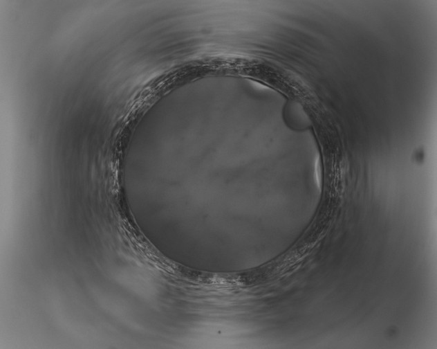 X0000116041013200912111434