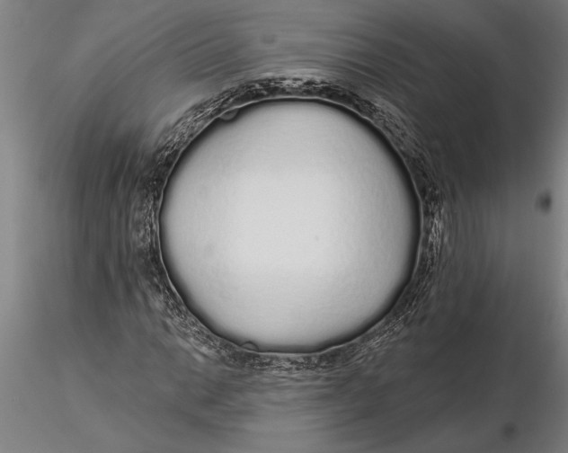 X0000116041014200912111434