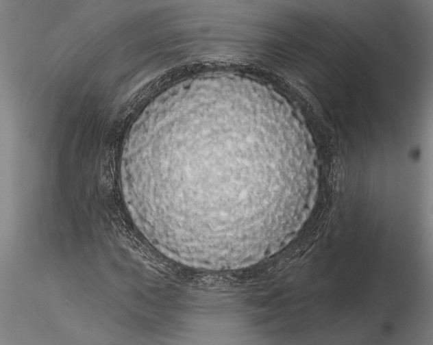 X0000116041015200912111434