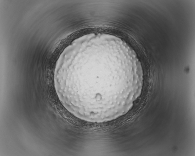 X0000116041016200912111434