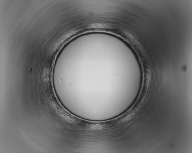 X0000116041017200912111434