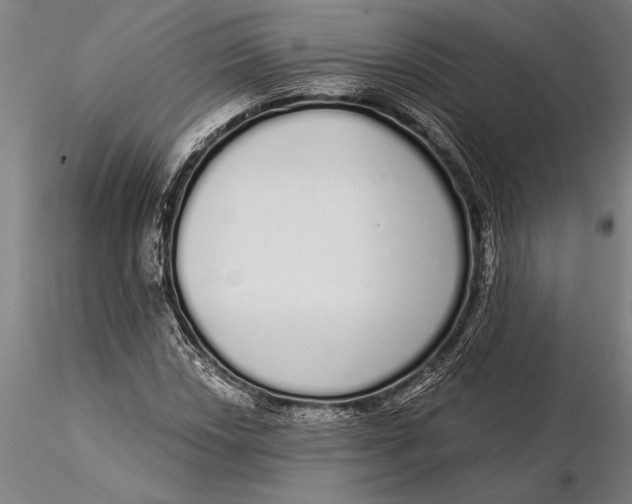 X0000116041018200912111434