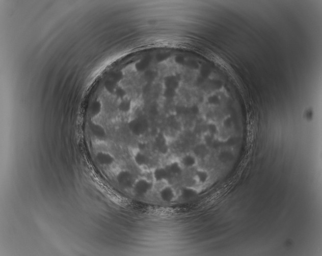 X0000116041019200912111434