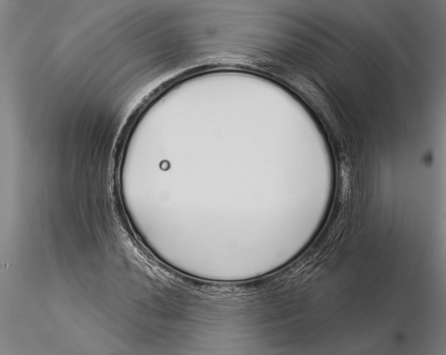 X0000116041020200912111434