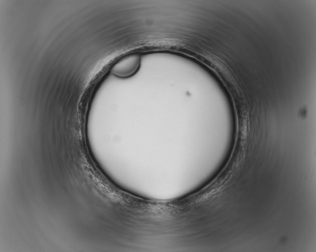 X0000116041022200912111434