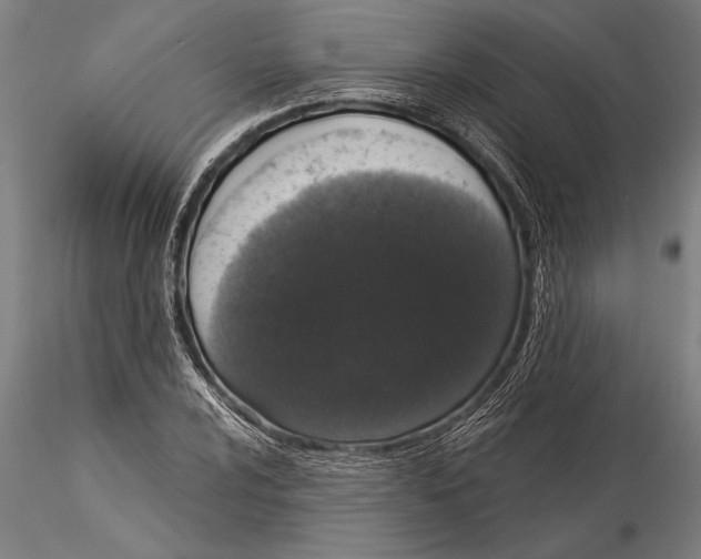 X0000116041024200912111434