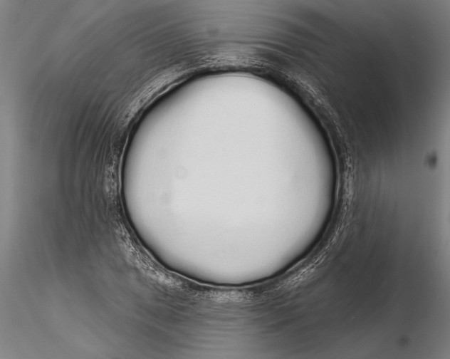 X0000116041025200912111434