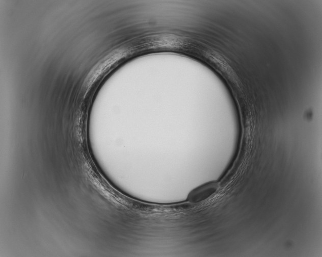 X0000116041026200912111434