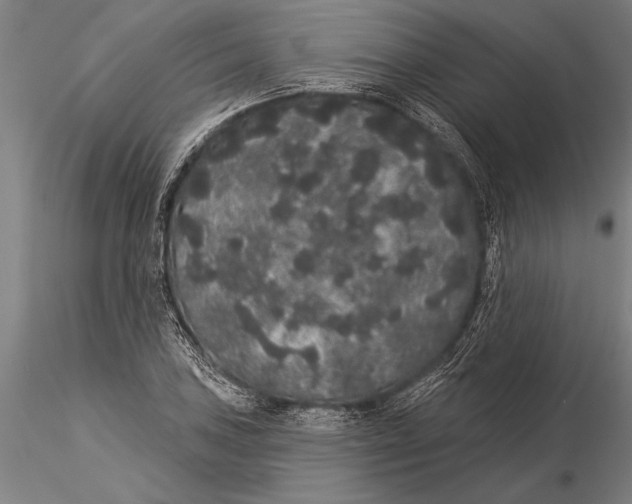 X0000116041027200912111434