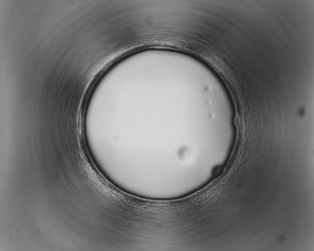 X0000116041028200912111434