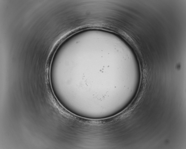 X0000116041029200912111434