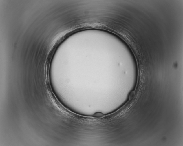 X0000116041030200912111434