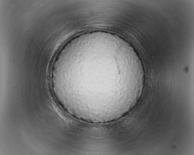 X0000116041031200912111434