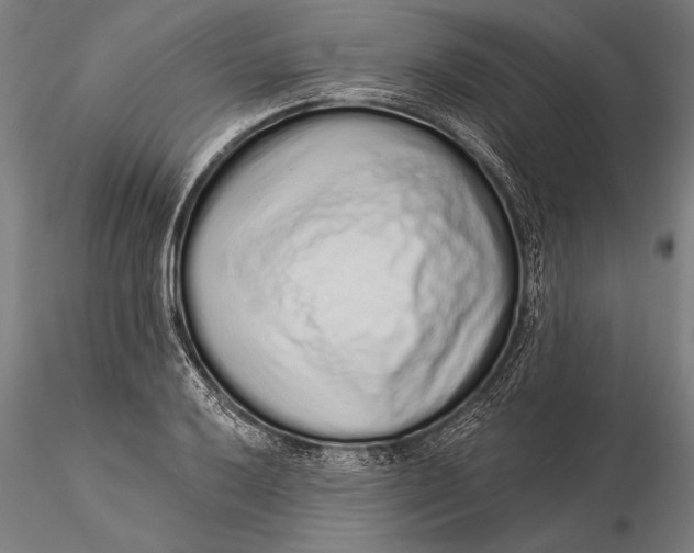 X0000116041032200912111434